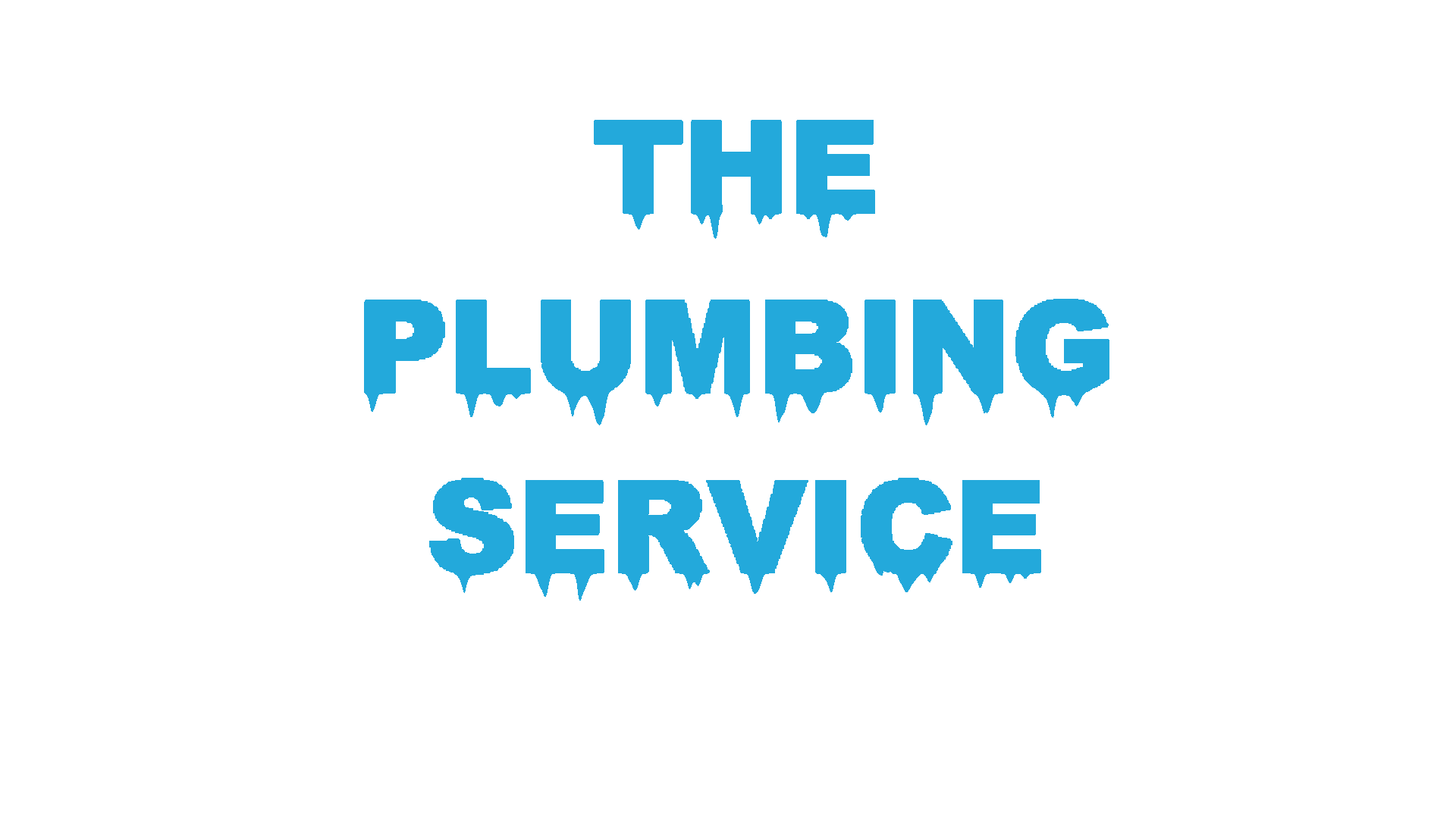 The Plumbing Service